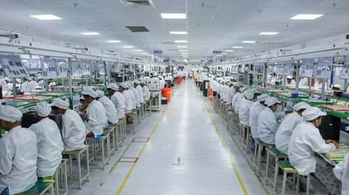 驅(qū)逐中國企業(yè)后，印度面臨技術瓶頸與供應鏈危機 西方斷供威脅下的困境與反思